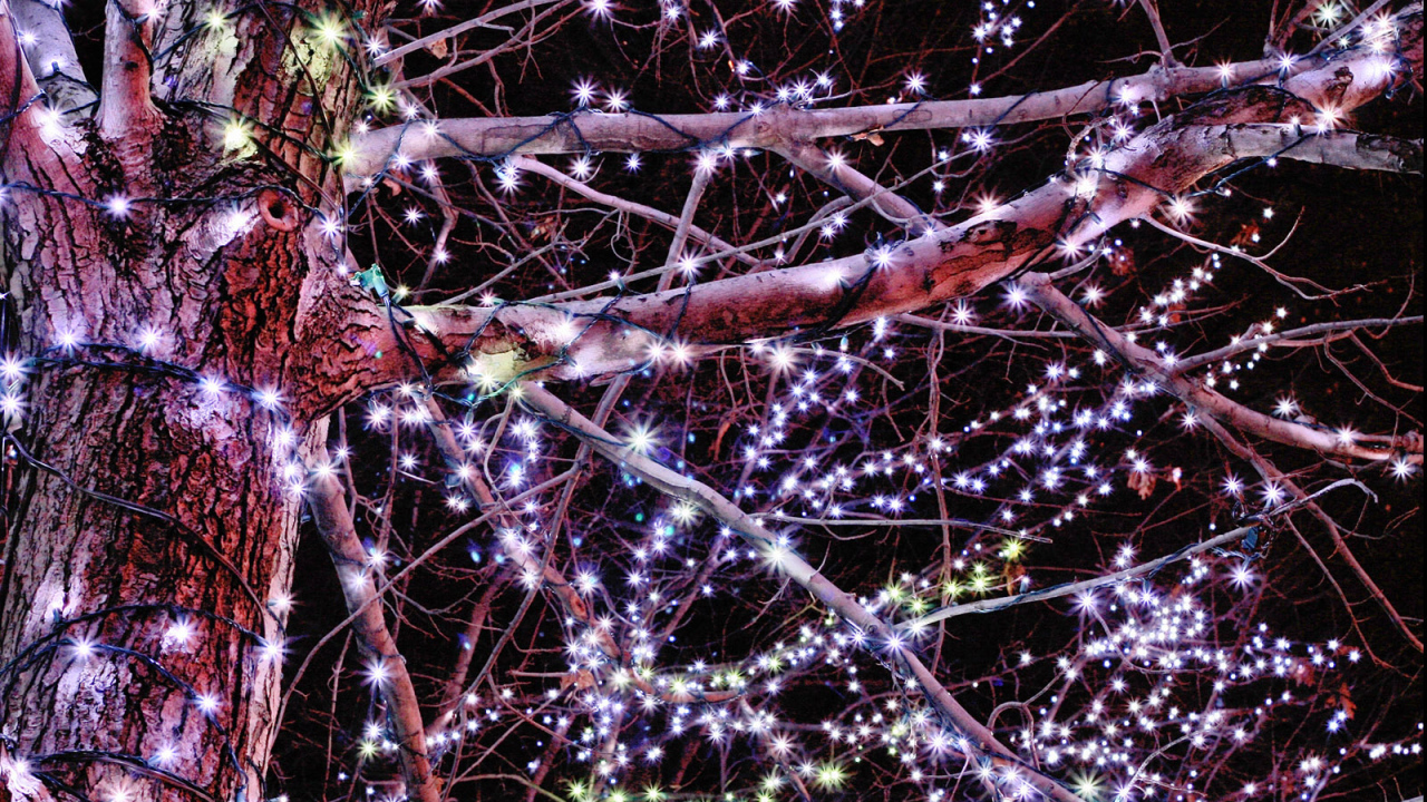 Гирлянды / Рождество