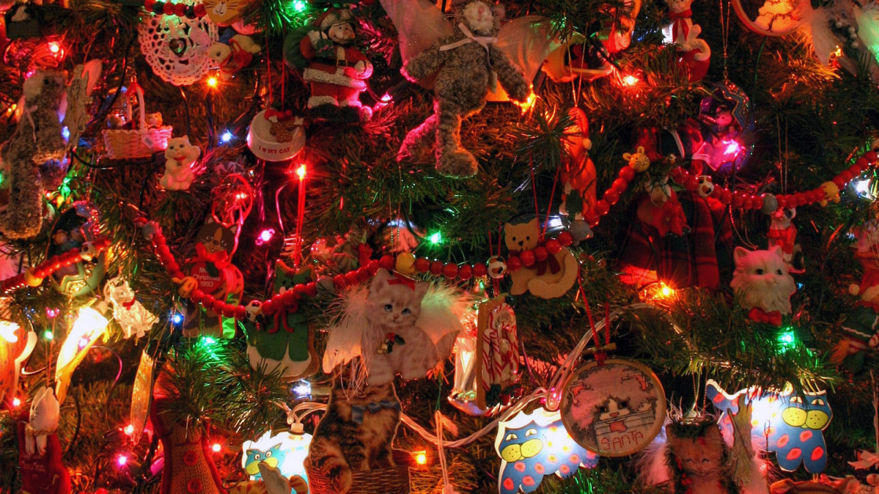 Праздник / Рождество