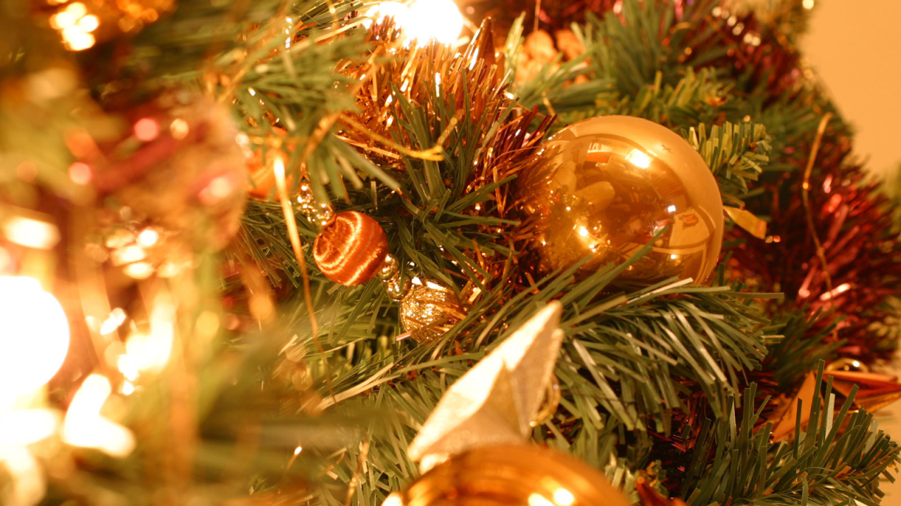 Дух Рождества / Рождество