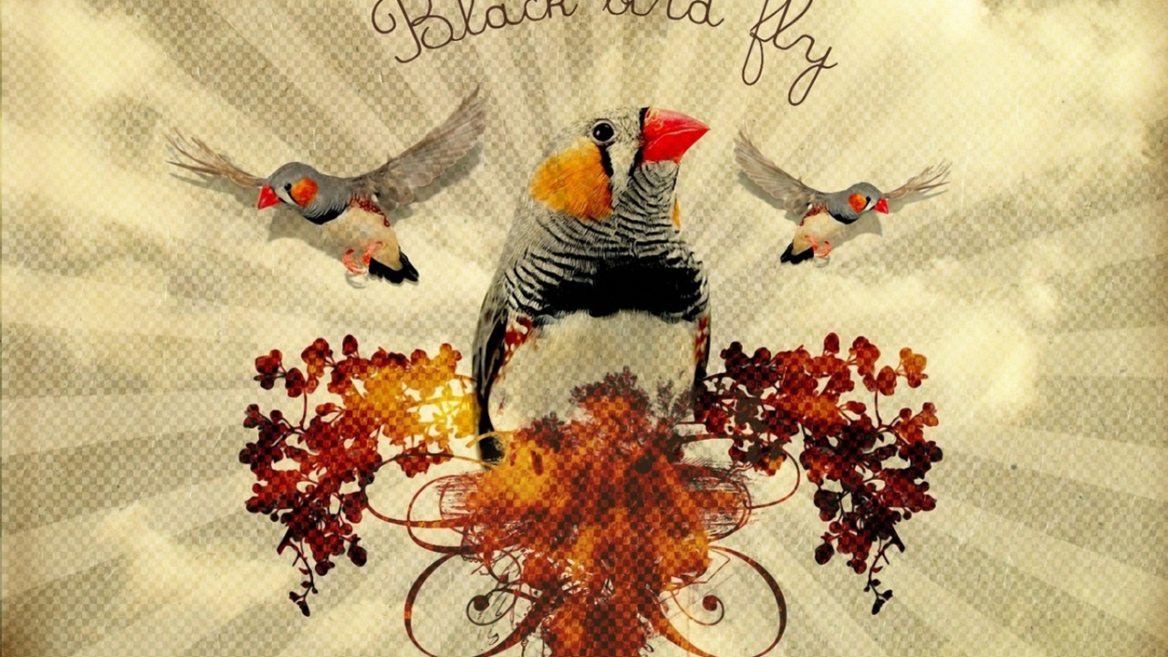 Птица - цветок