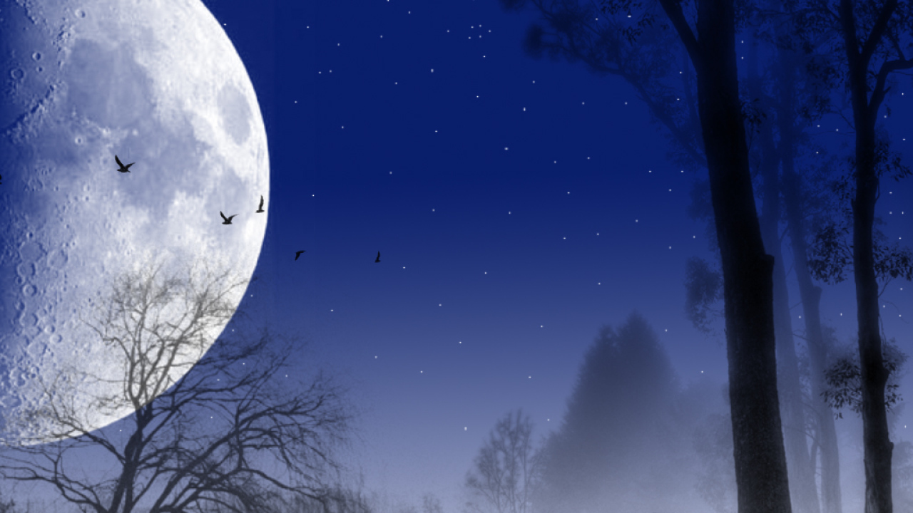 Темная ночь