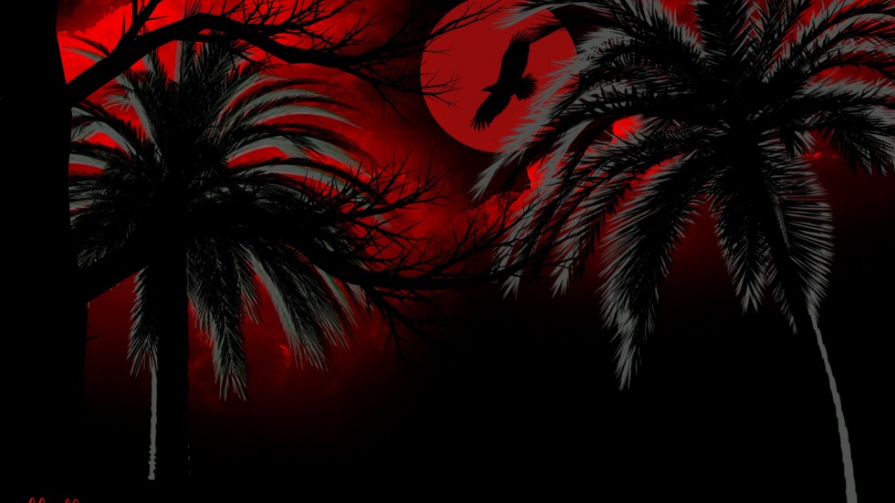 Темная ночь