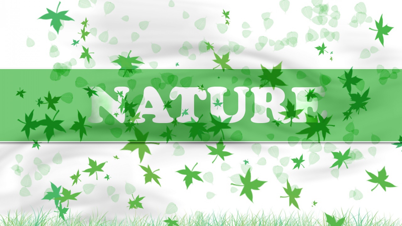 В натуре - природа