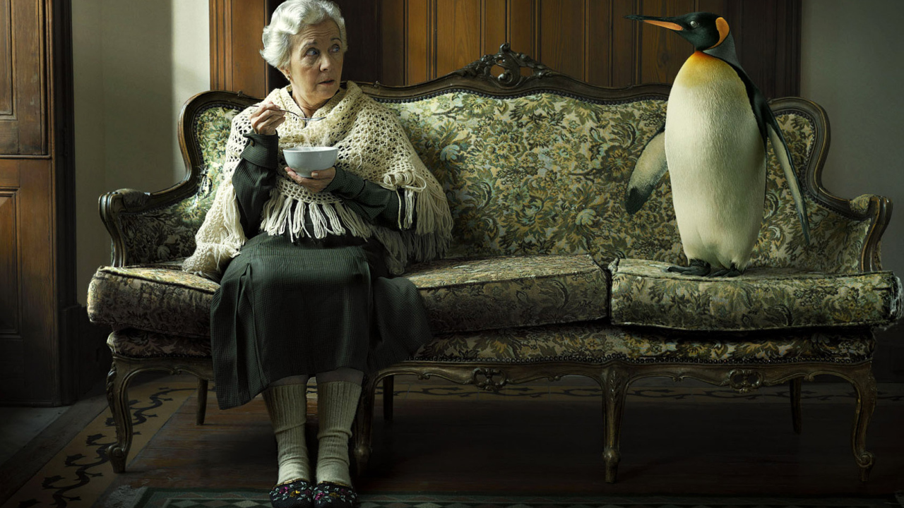 The old woman and penguin