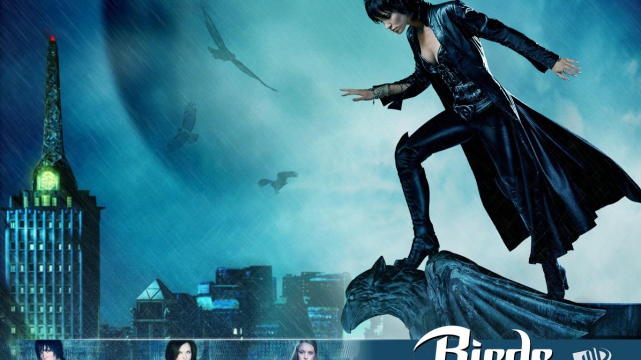 Birds of pray Птицы гордости