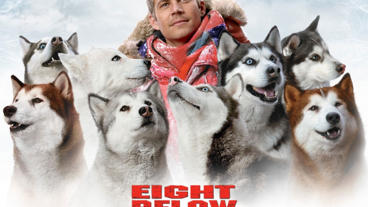 Белый плен / Eight Below