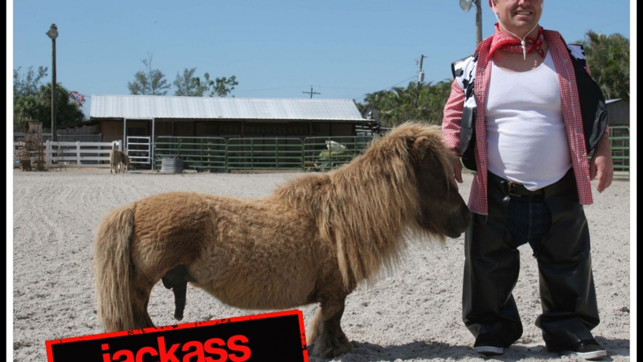 Чудаки 2 / Jackass 2