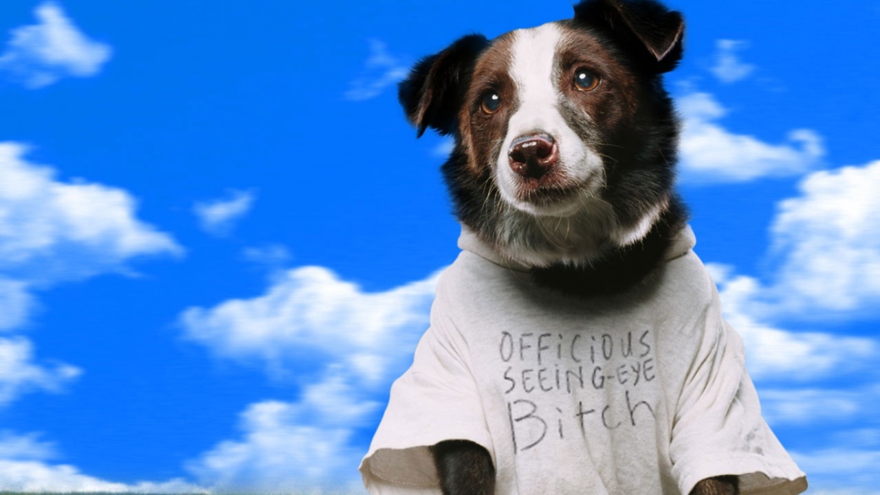 Свет вокруг / Everything Is Illuminated