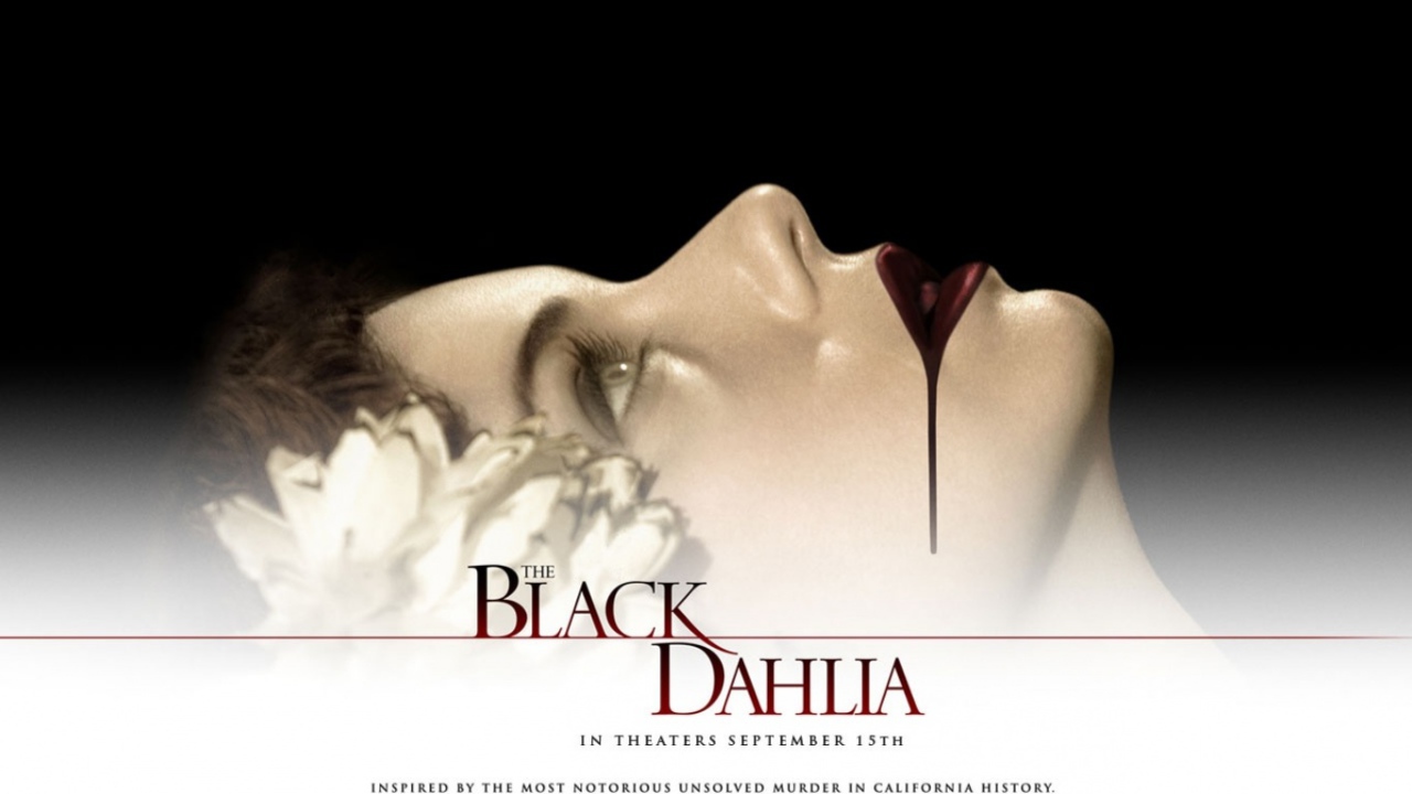 Черный Георгин /  Black Dahlia