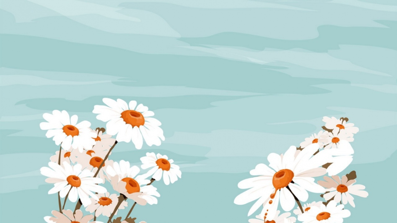 Белые цветы и небо, Цветы