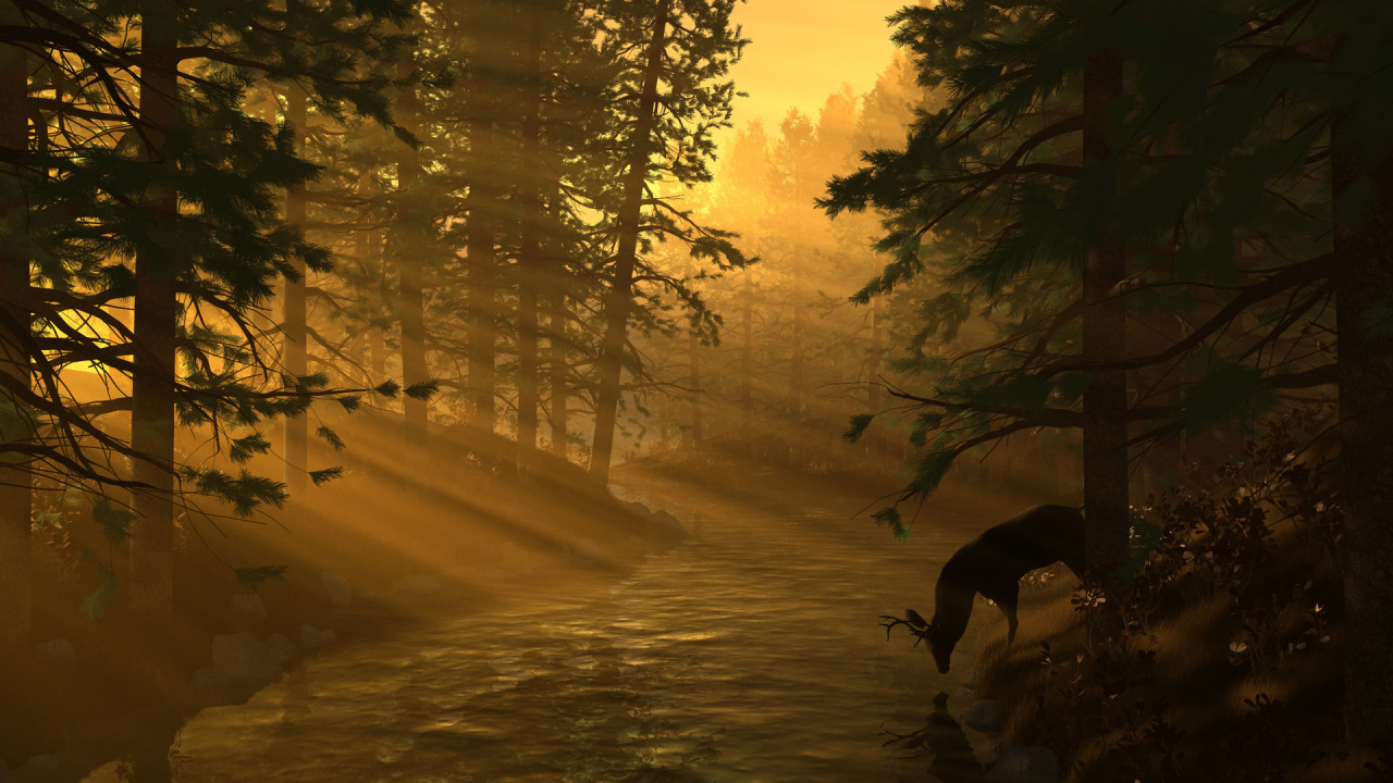 Лесная река