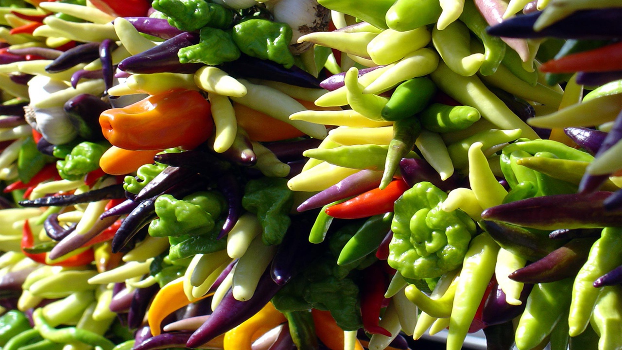 Яркие перцы