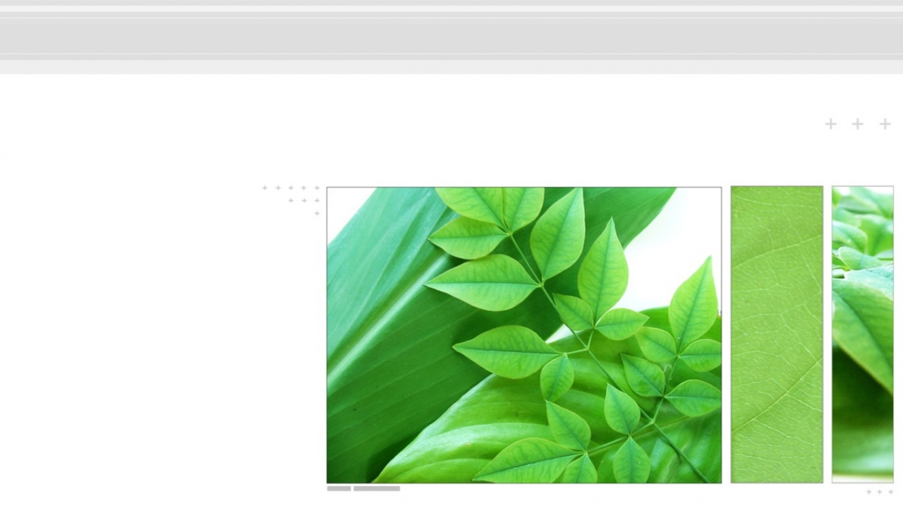 Навес из листьев