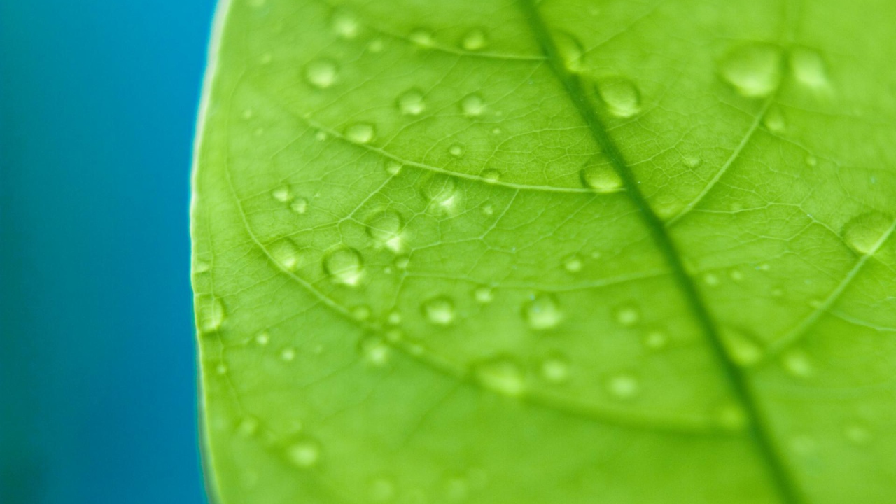 Сбор капель