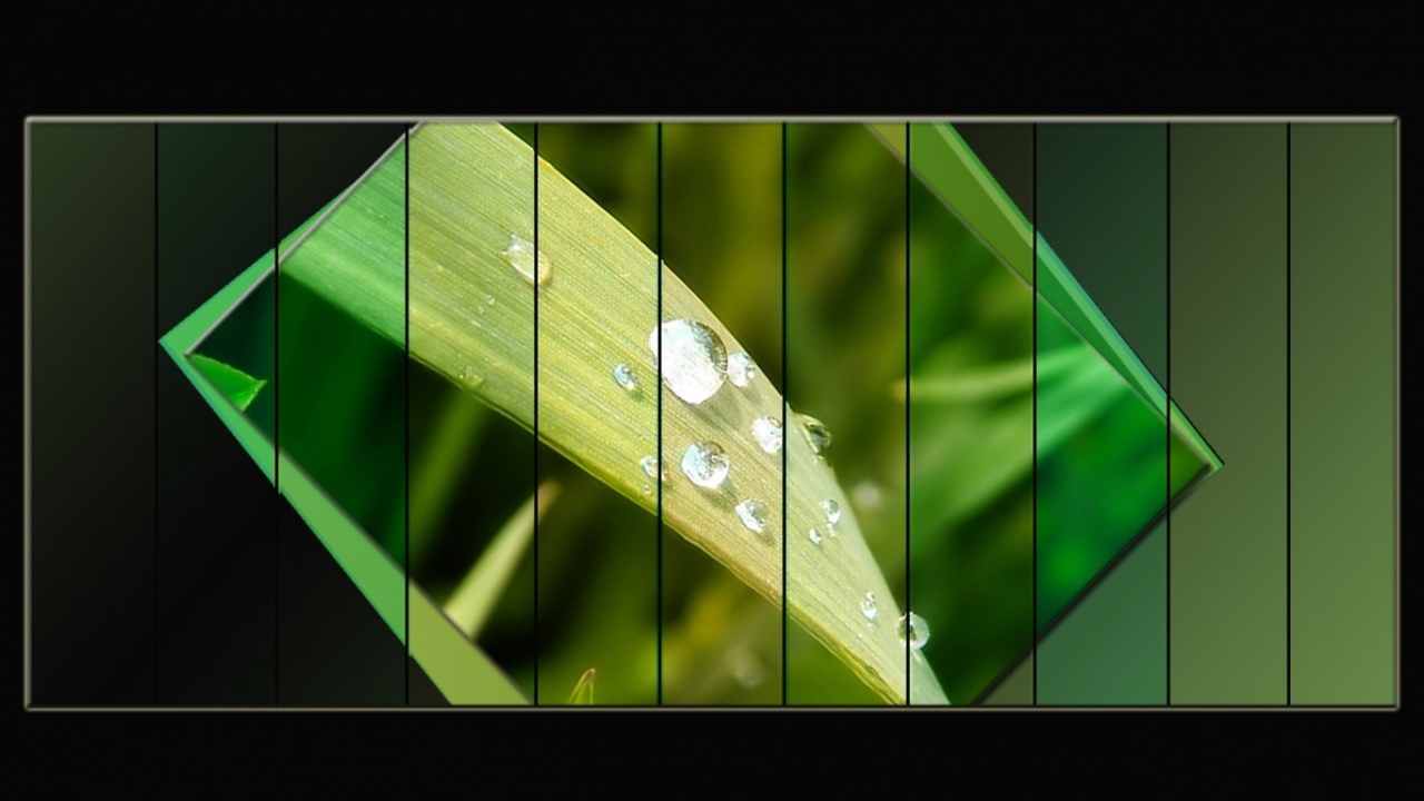 Светло-зеленый лист