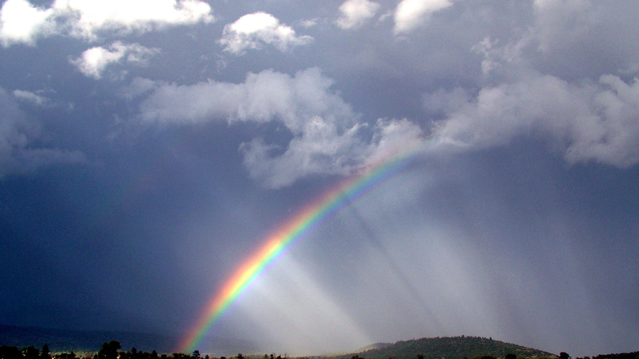 После грозы