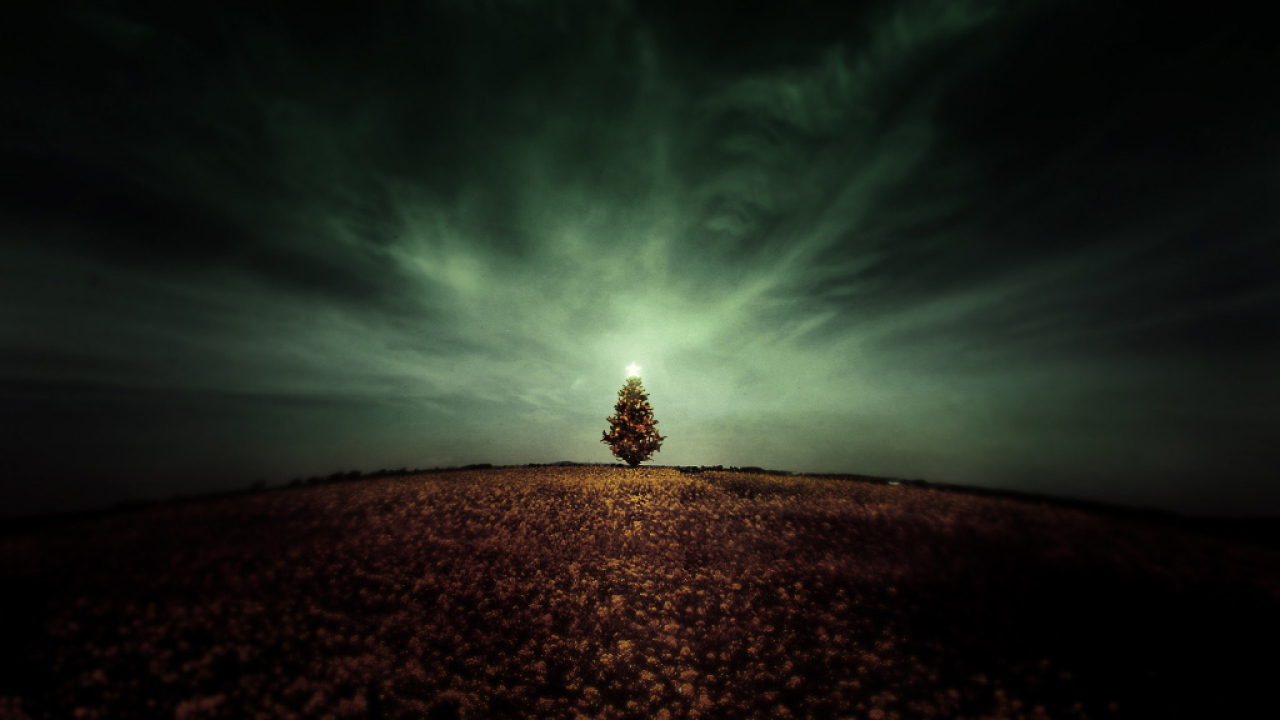 Новогодняя елочка