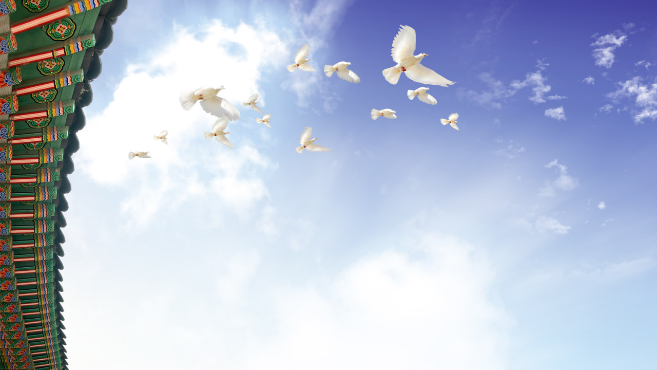 Летящие голуби