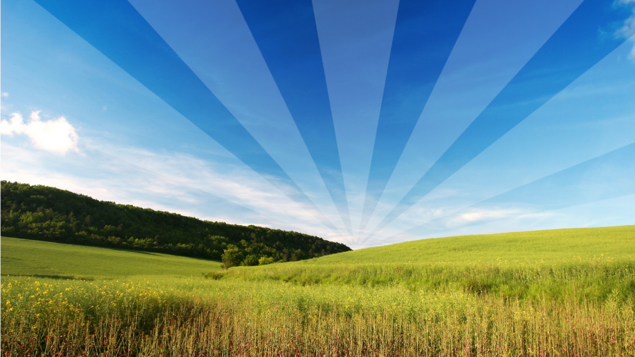 Открытый и свободный