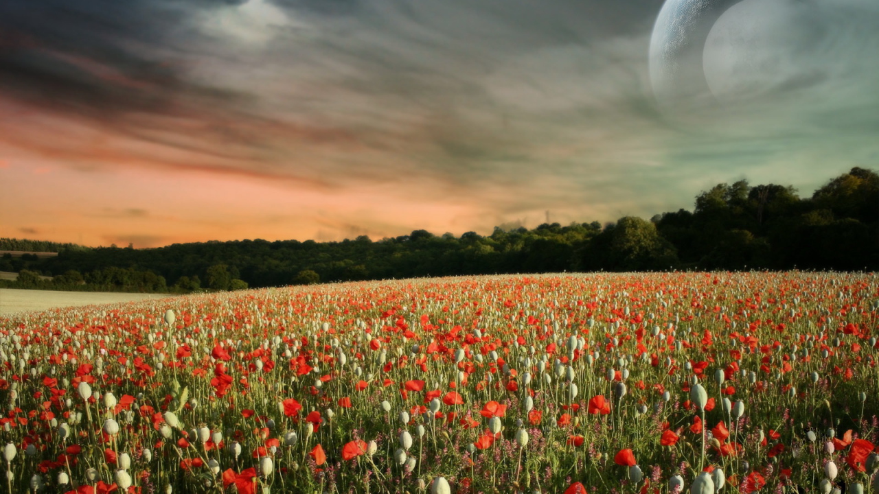 Паралельный мир