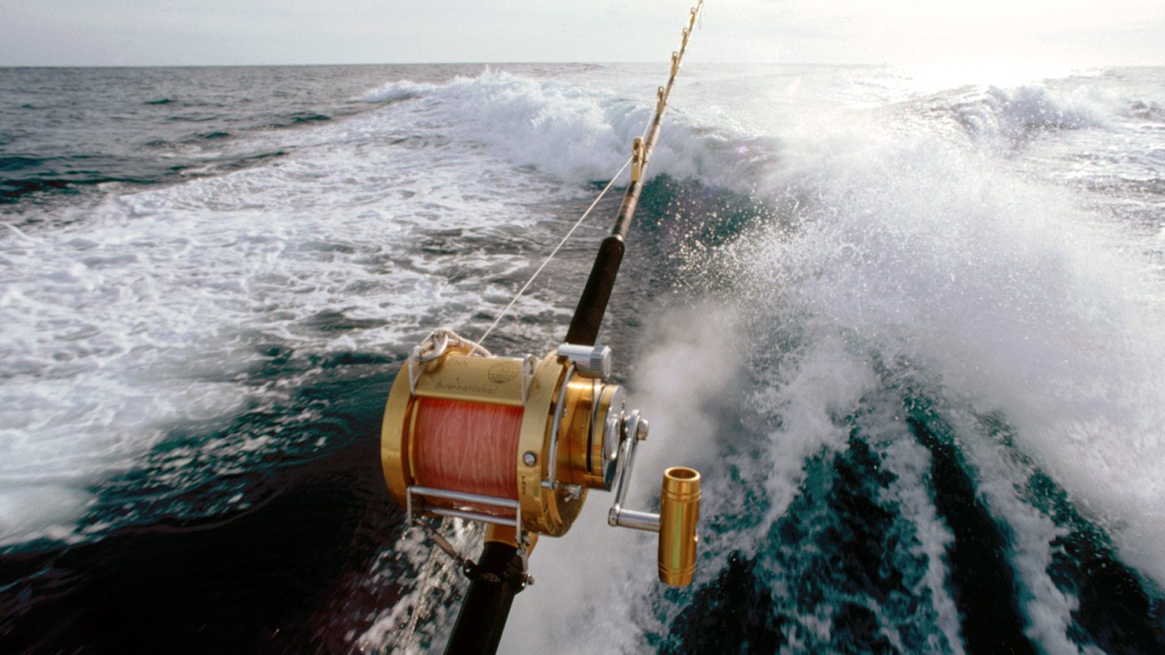 Спортивный лов рыбы