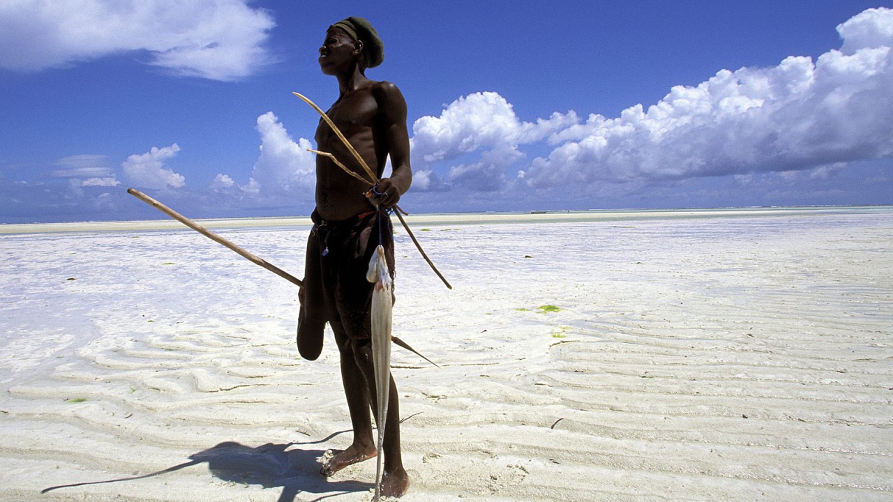 Рыбак на Берегу в мелкой воде / Занзибар / Танзания / Африка