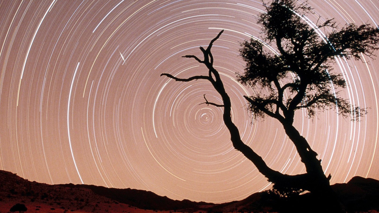Star Trails / Namib-Naukluft Park / Namib Desert / Namibia / Africa