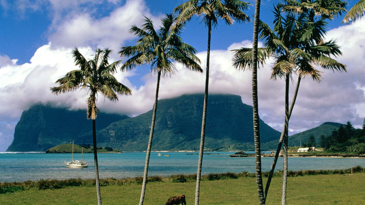 Остров Lord Howe