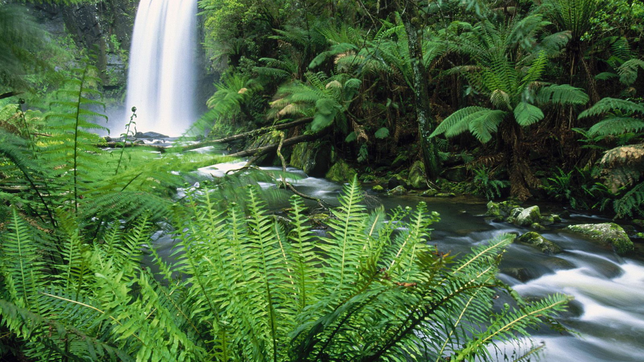 Водопад - Австралия