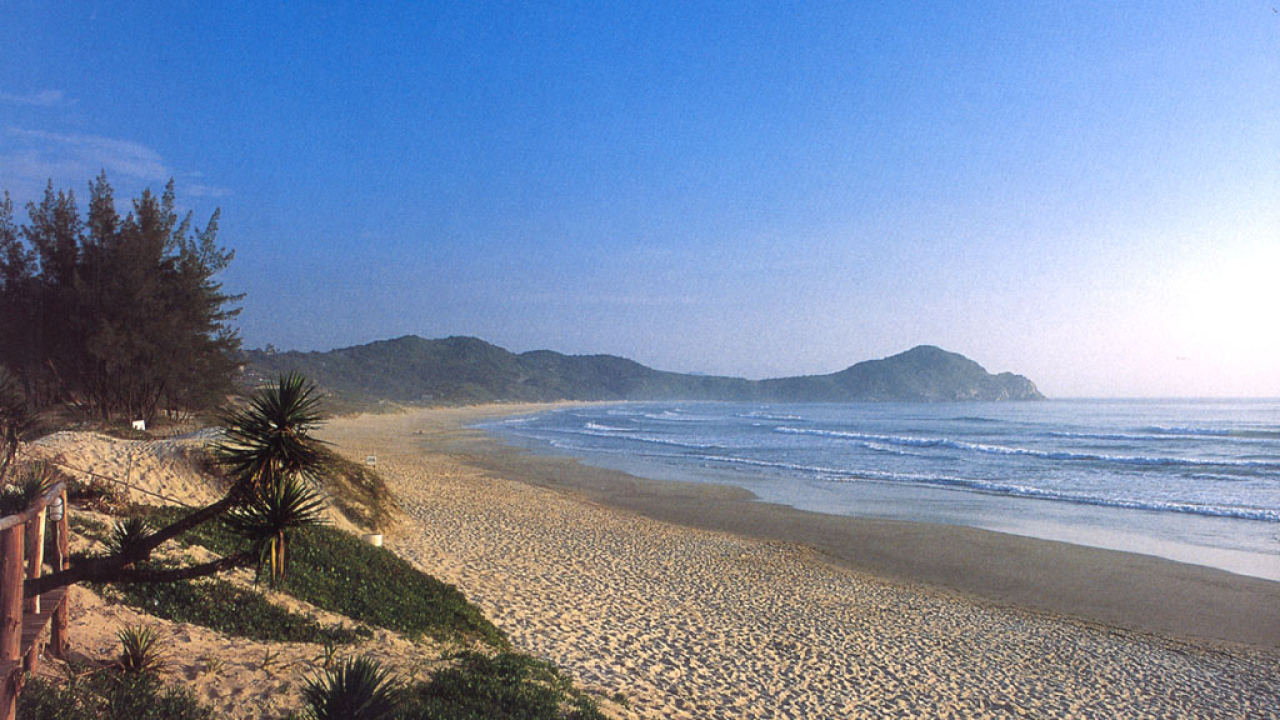 Пляж Бразилии