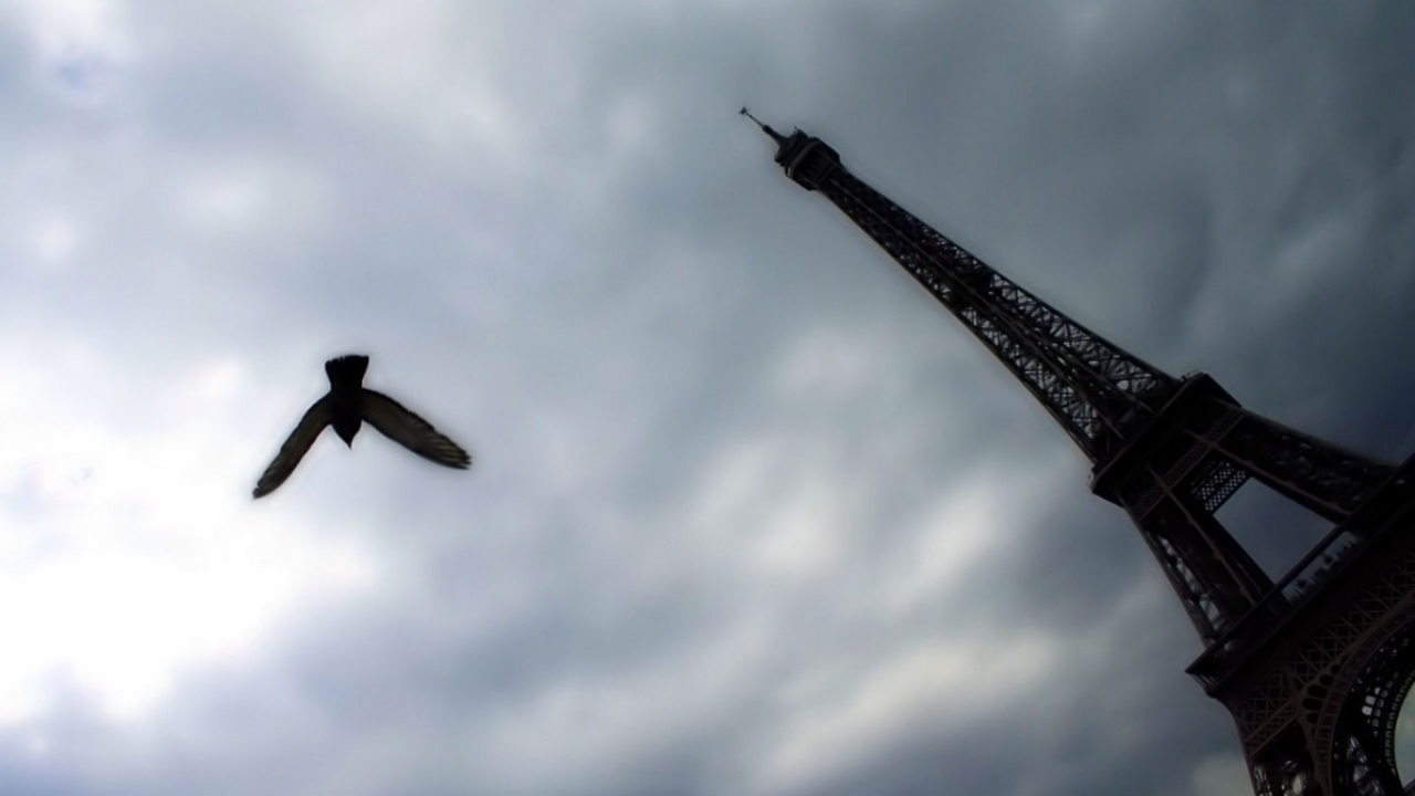 Различная точка обзора