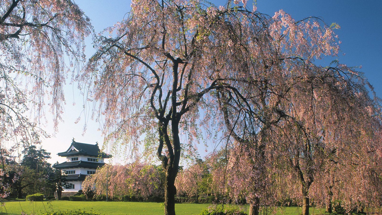 Замок Хиросаки, Япония