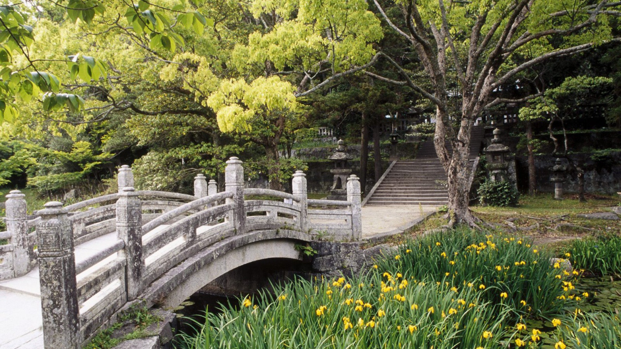 Сад Замка Hagi, Западный Хонсю