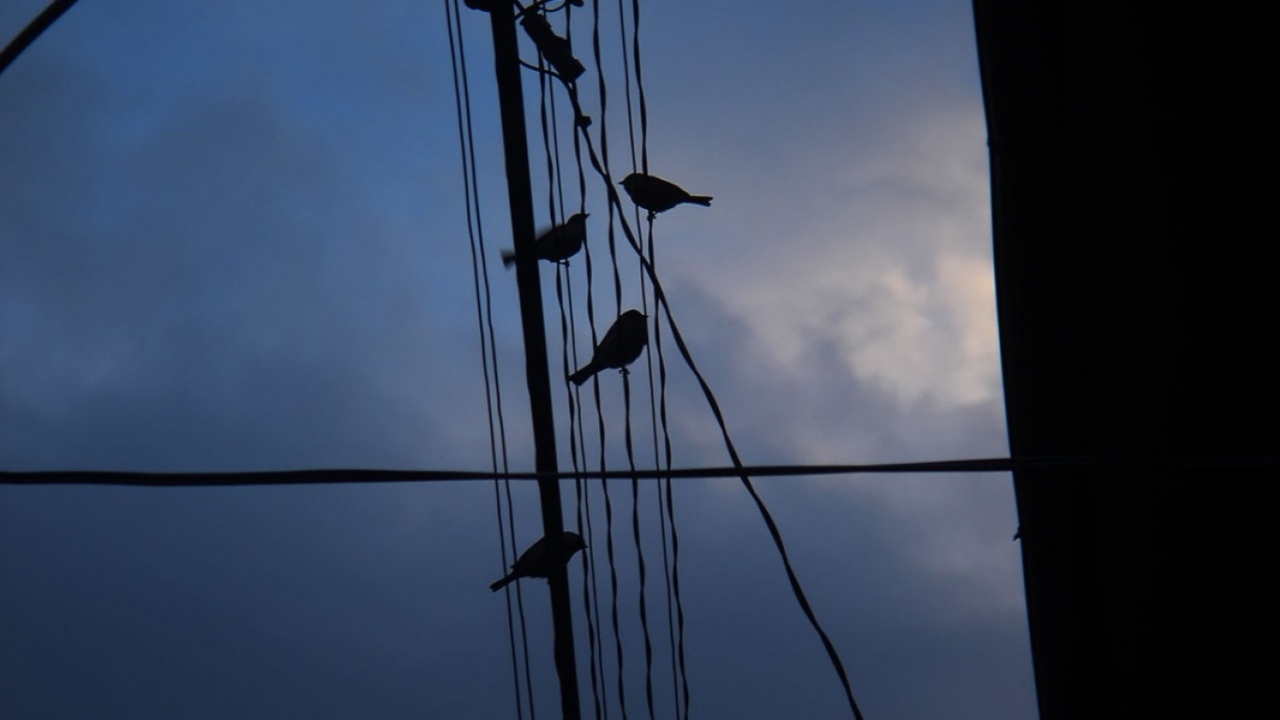 Ночное море