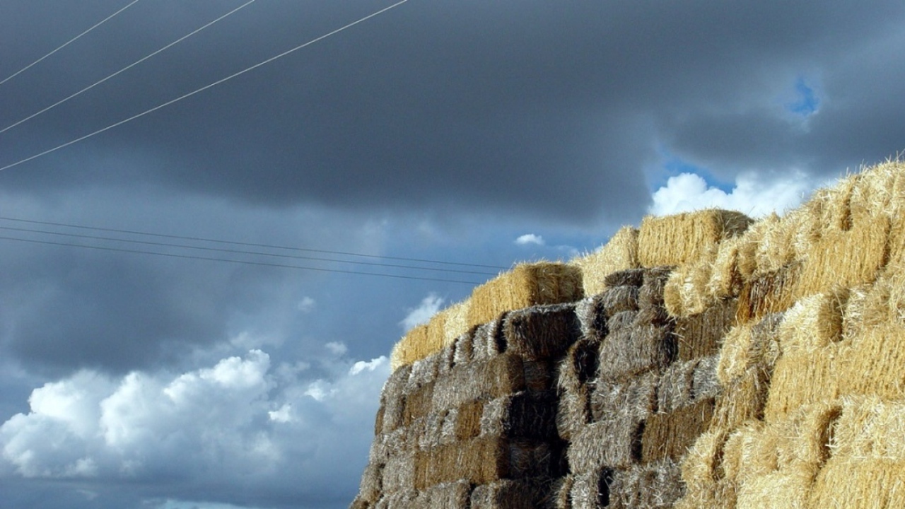 Avila Испания