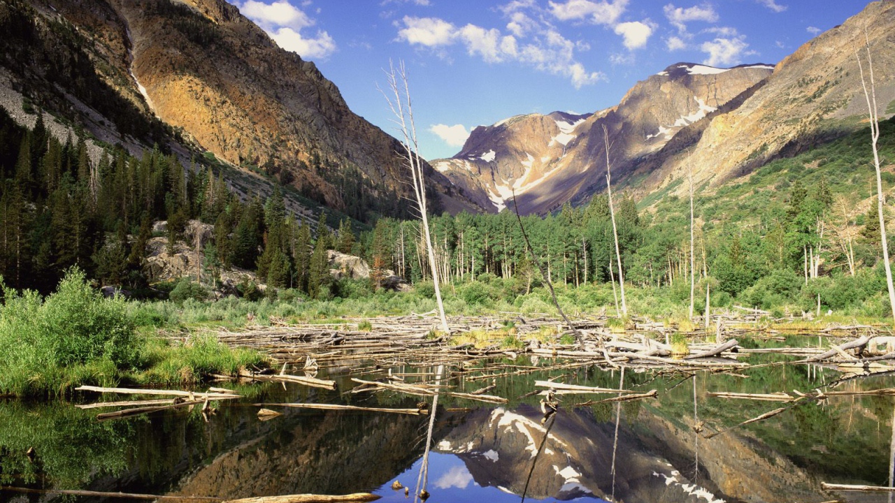 Водоем Бобра / Каньон Lundy / Сьерра-Невада / Калифорния / США