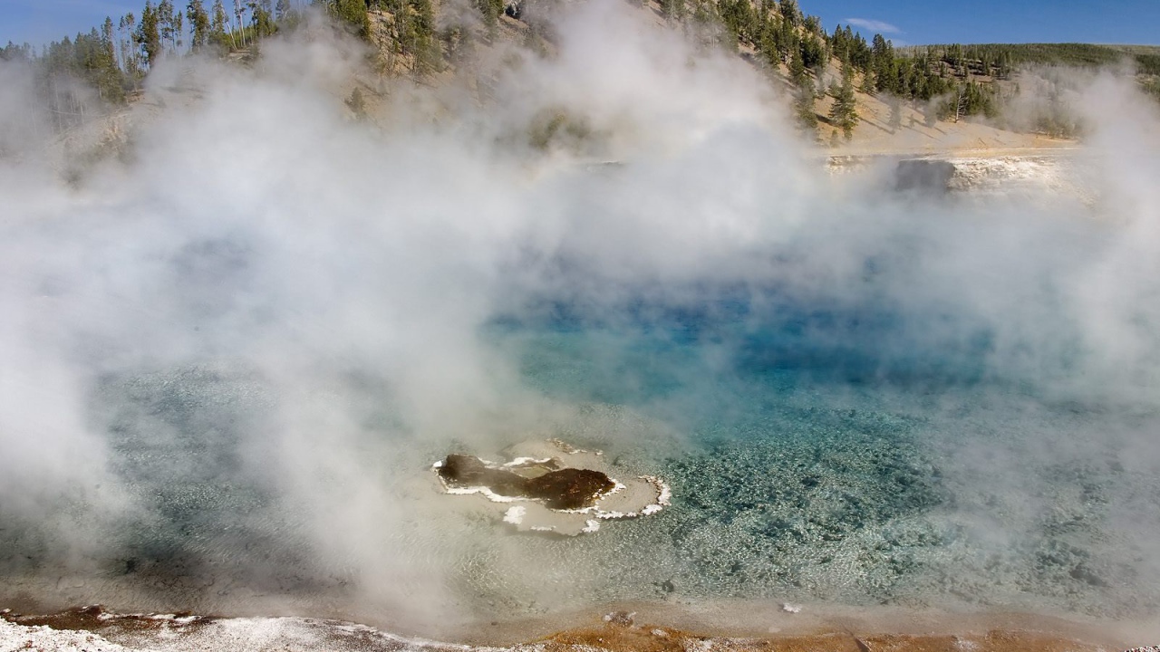 Гейзер Мягкой древесной стружки США