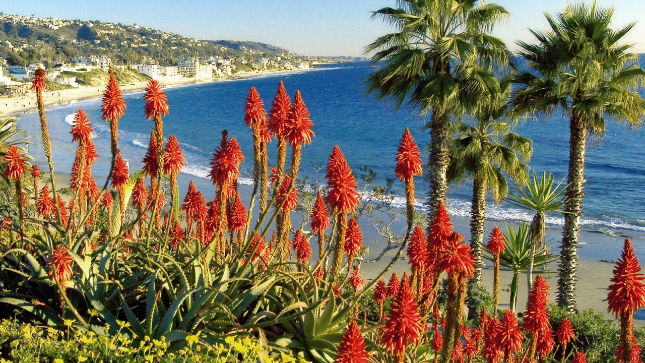 Лагуна Бич / Калифорния / США