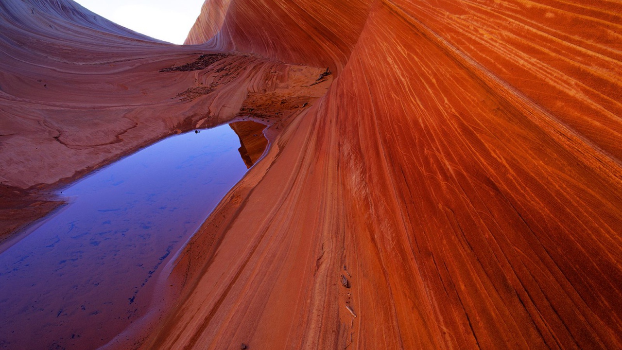 Волны Песчаника  / Ярко-красные Утесы / Аризона / США