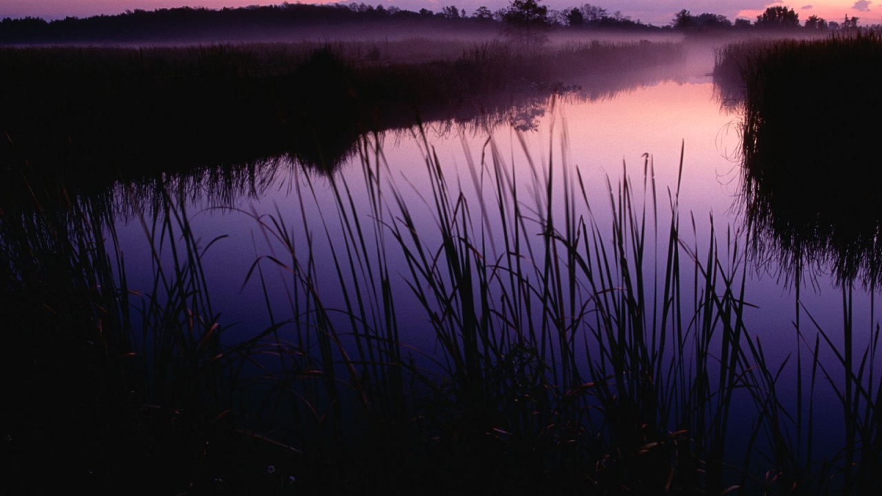 Закат в Убежище, США