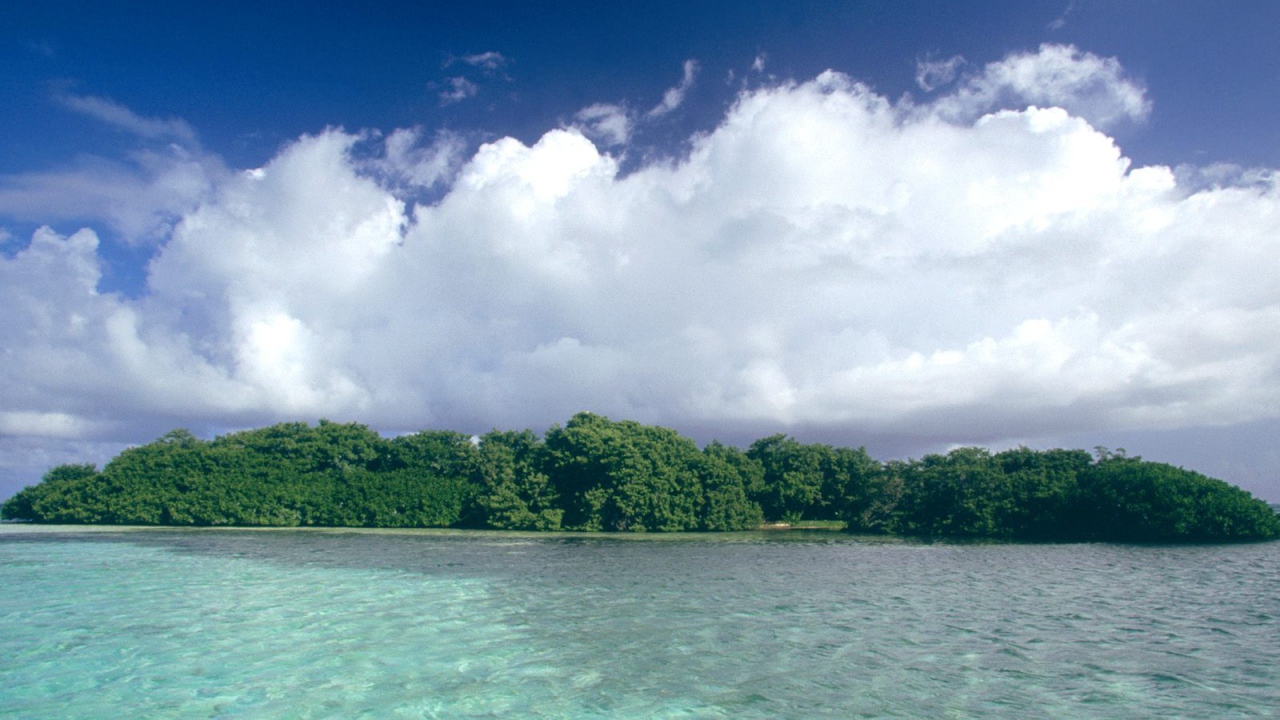 Остров Los Castilos