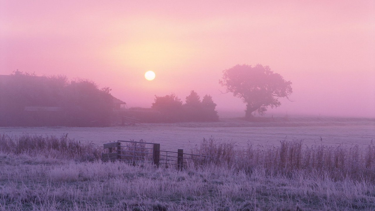 Сельхозугодья