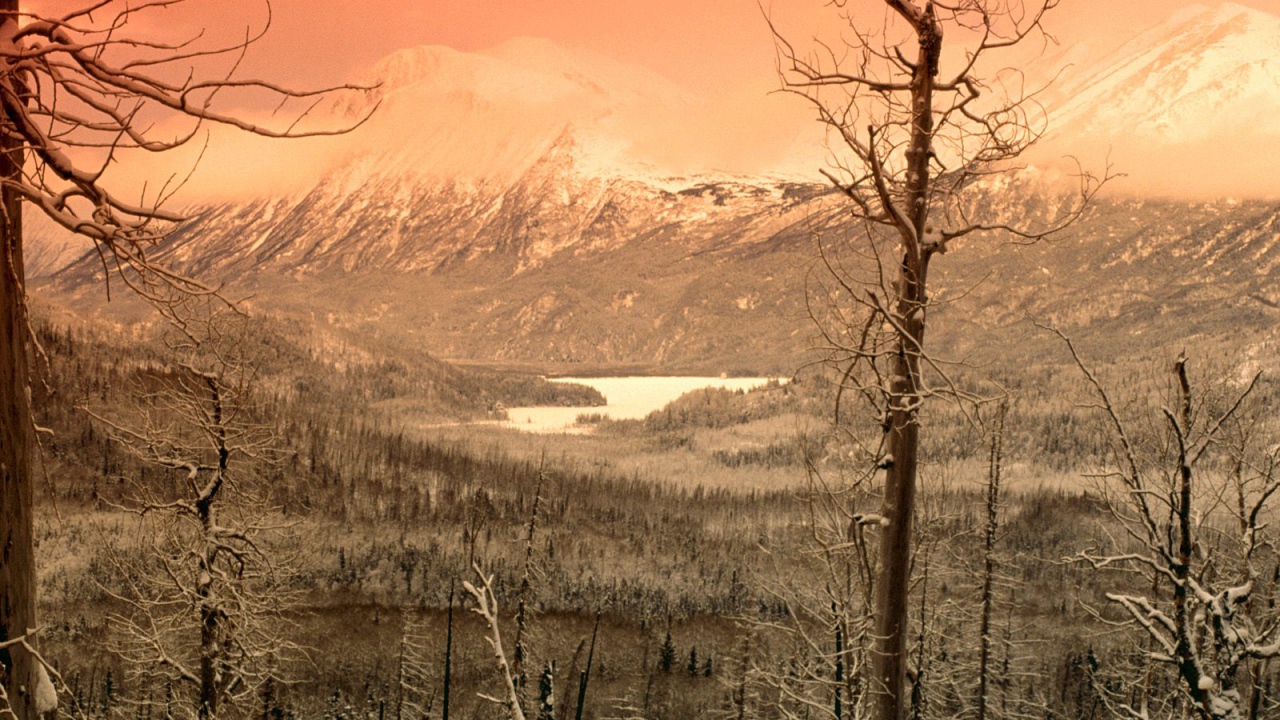 Охваченный зимой