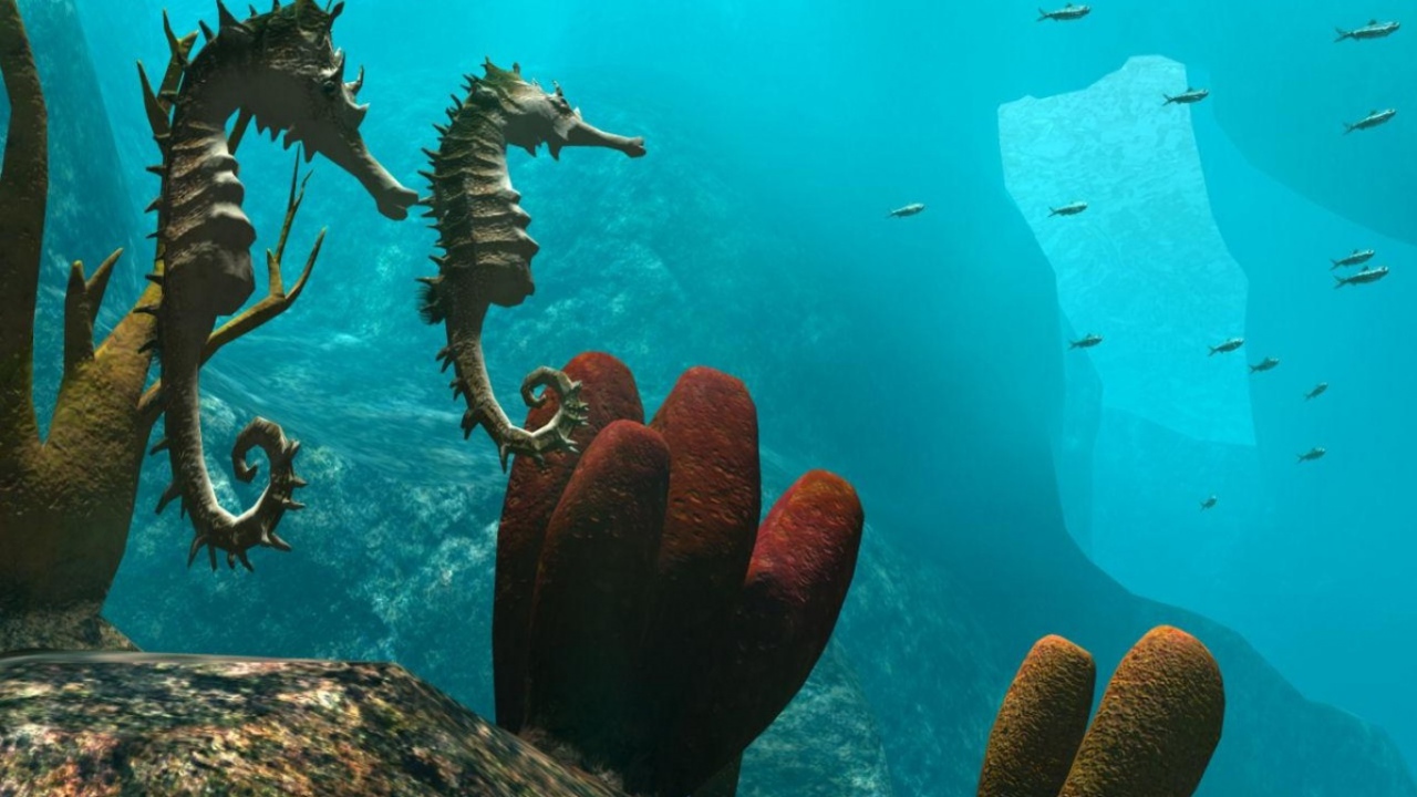 Морские обитатели