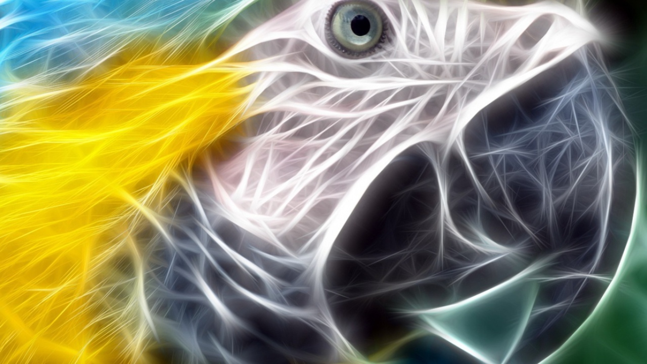 Разноцветный попугай