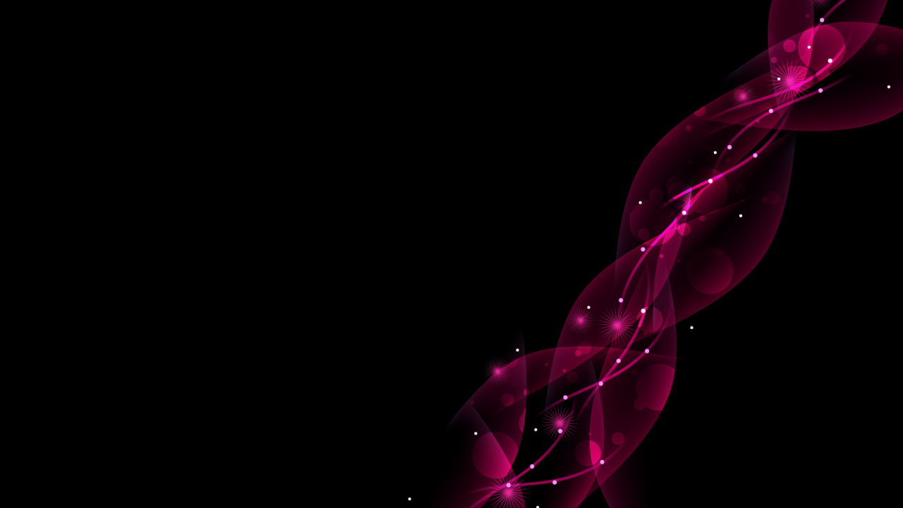 Розовые цветы