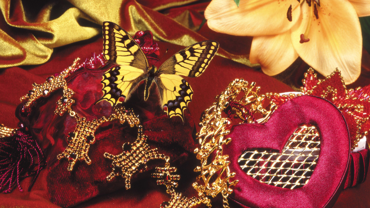 Бабочка и бархат