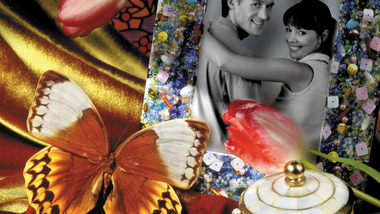 Бабочка у фотографии