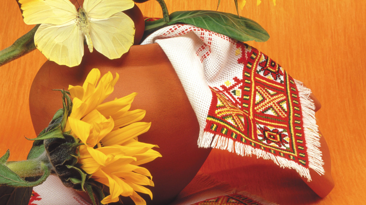 Красивая желтая бабочка на горшке