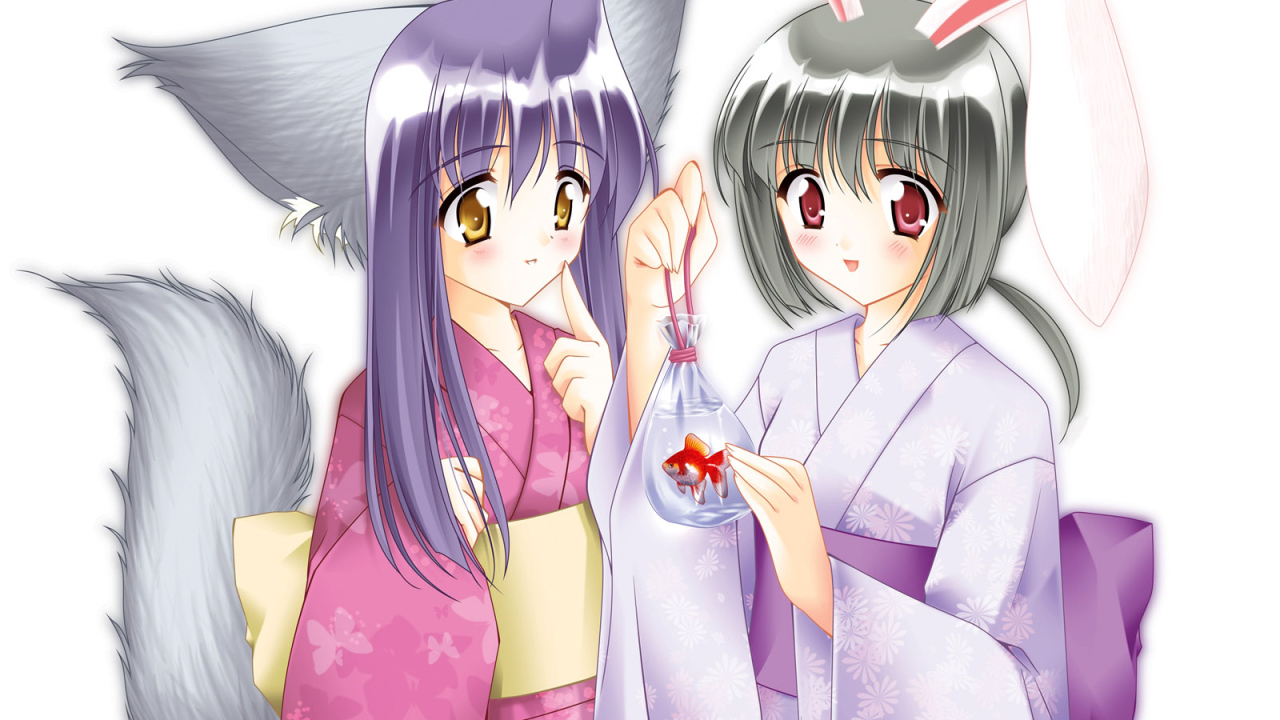 Кошка и Кролик